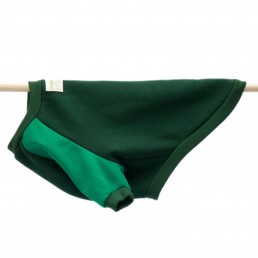 raglan sweater broad by doggie apparel