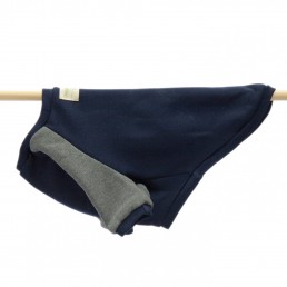 raglan sweater sea by doggie apparel