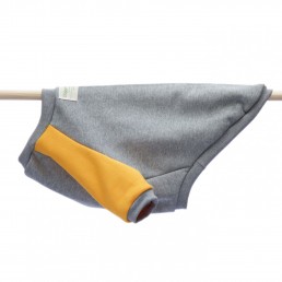 raglan sweater BEACH by doggie apparel