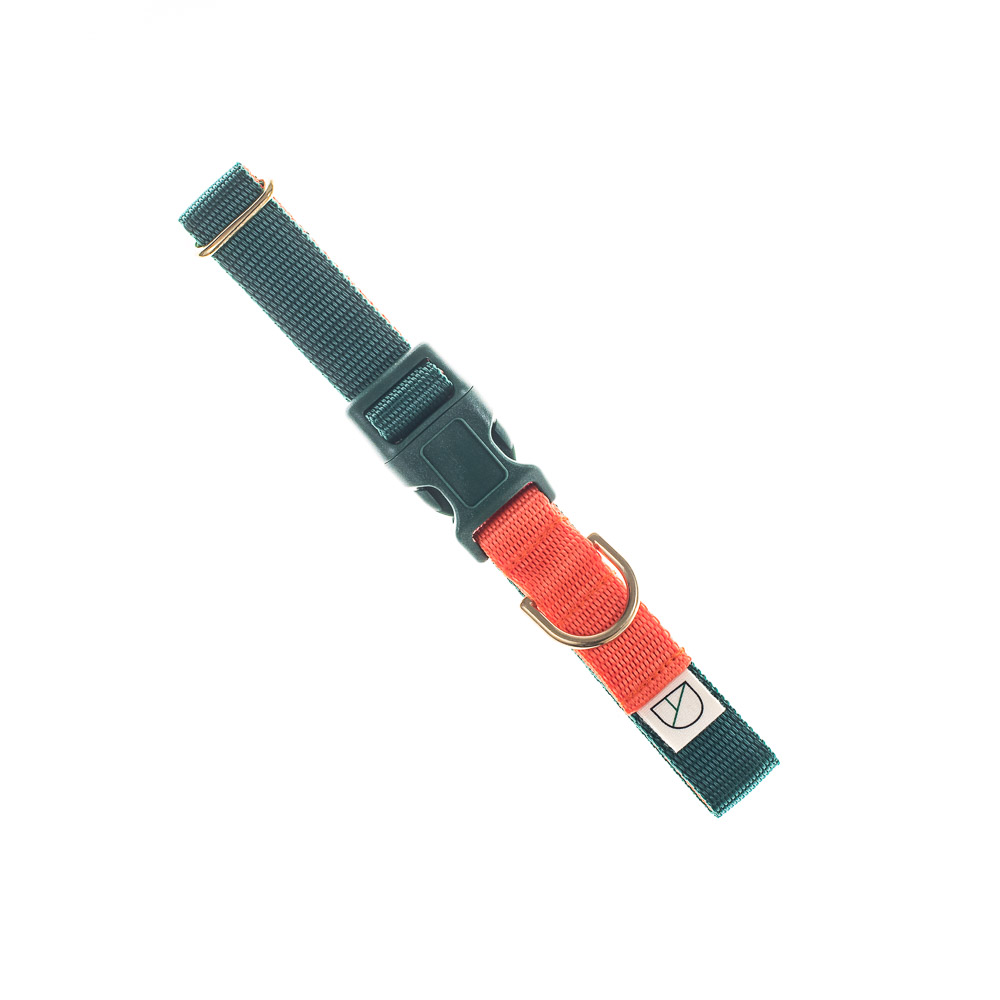 'fort' dog collar