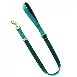 luxury green dog collar and lead doggie apparel