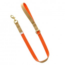 luxury dog lead and collar doggie apparel