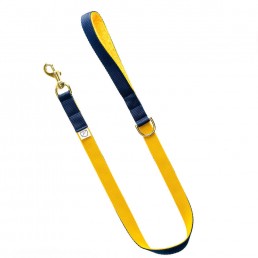 luxury yellow dog lead and collar doggie apparel