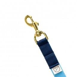 'trinity' handsfree lead