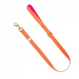 orange webbing dog lead doggie apparel
