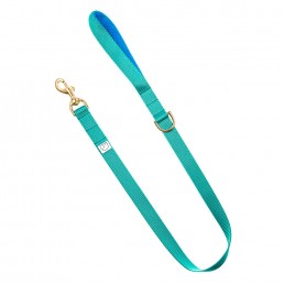 green webbing dog lead doggie apparel