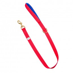 red webbing dog lead doggie apparel