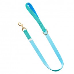 luxury green dog lead and collar doggie apparel
