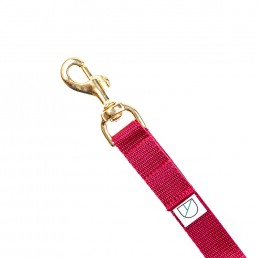 Doggie Apparel lightweight handsfree dog lead