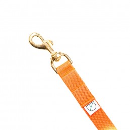 Doggie Apparel lightweight handsfree orange dog lead