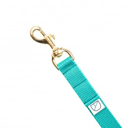 Doggie Apparel Lightweight Emerald Handsfree Dog Lead