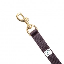 Doggie Apparel brown lightweight handsfree dog lead