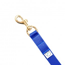 Doggie Apparel blue handsfree dog lead