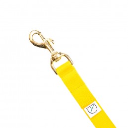 Doggie Apparel yellow lightweight handsfree dog lead