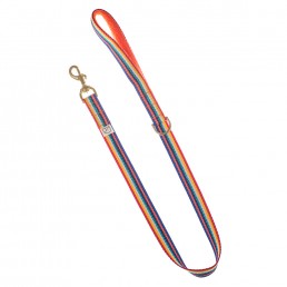 doggie apparel rainbow dog lead