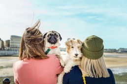 about doggie apparel