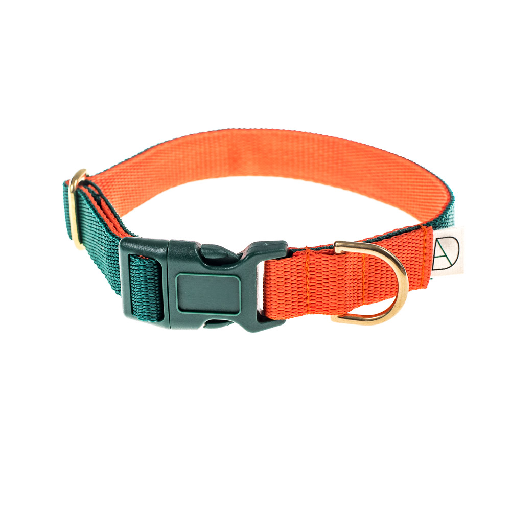doggie apparel forest & orange dog collar