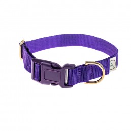 doggie apparel purple dog collar