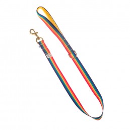 doggie apparel rainbow dog collar