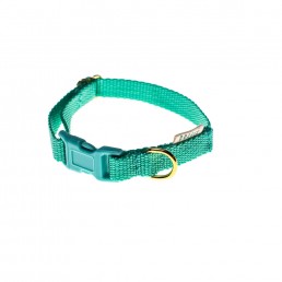 'albert' teeny dog collar