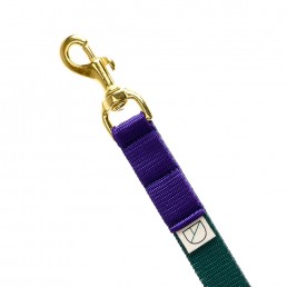 rancorn handsfree dog lead