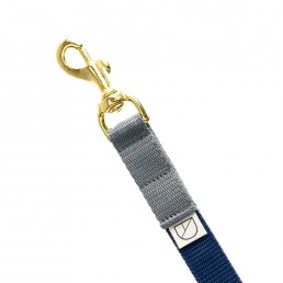 handsfree dog lead