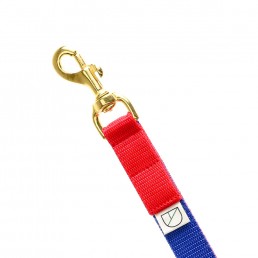 king handsfree dog lead