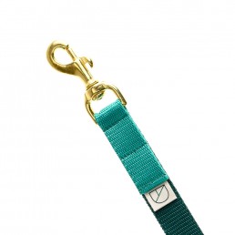 broad handsfree dog lead