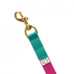 love handsfree dog lead