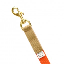 handsfree dog lead