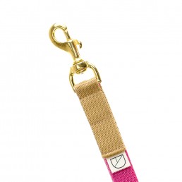 handsfree dog lead