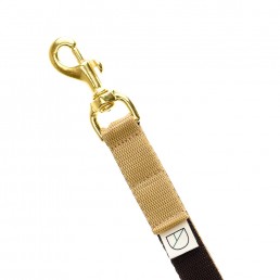 handsfree dog lead