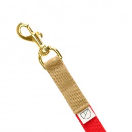 handsfree dog lead