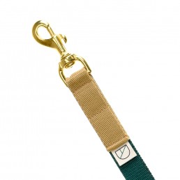 handsfree dog lead