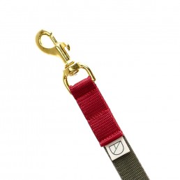 handsfree dog lead