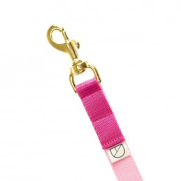 duke handsfree dog lead