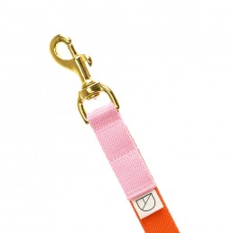 parade handsfree dog lead