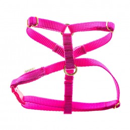teeny single webbing dog harness