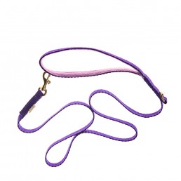 doggie apparel teeny collection