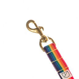 'pride' handsfree lead
