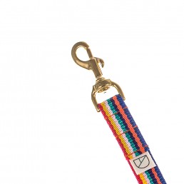 'rainbow' handsfree lead