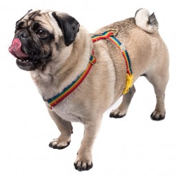doggie apparel single webbing harness