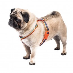 doggie apparel single webbing harness