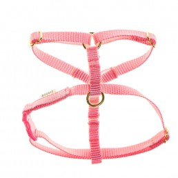teeny single webbing dog harness