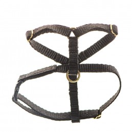 teeny single webbing dog harness