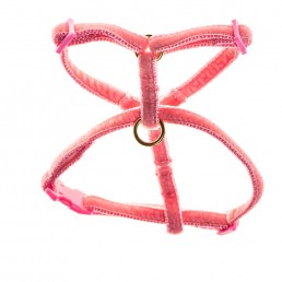 teeny velvet dog harness