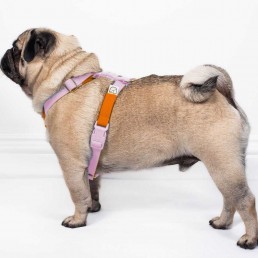 doggie apparel double webbing harness