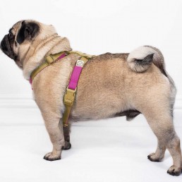 doggie apparel double webbing harness