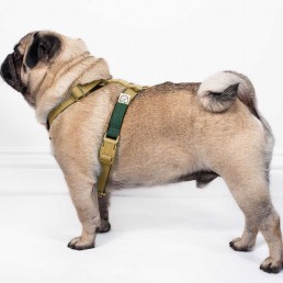 doggie apparel double webbing harness
