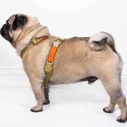 doggie apparel double webbing harness